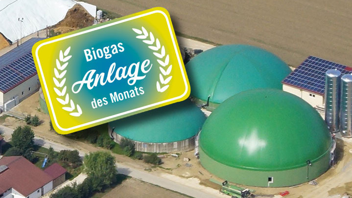 Anlage des Monats