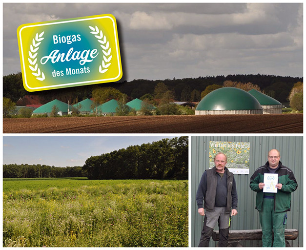 Bioenergie Stoetze GmbH & Co. KG - Anlage des Monats Mai 2019