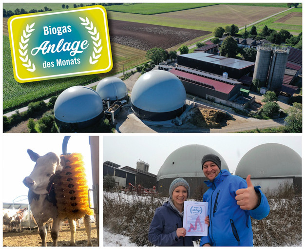 ROSA Kuh GmbH & Co. KG - Anlage des Monats Januar 2021