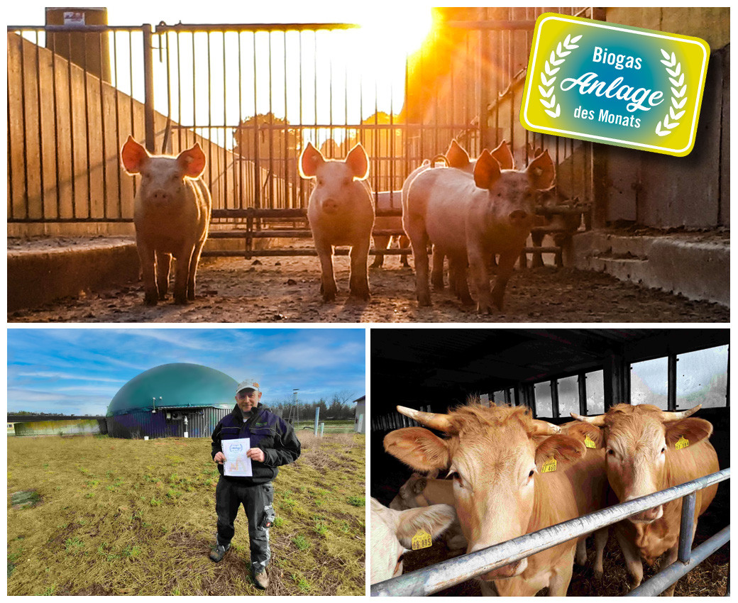 Gut Lanke - Anlage des Monats Februar 2022