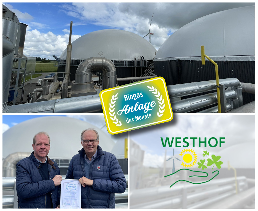 Westhof Energie GmbH & Co. KG - Anlage des Monats Juni 2024